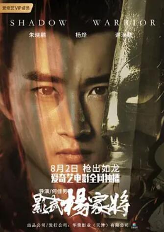 电影：影武杨家将