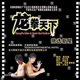 电影：龙拳天下