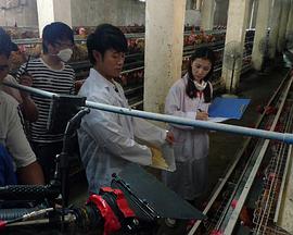 电影:我和教授“羊粪豆”