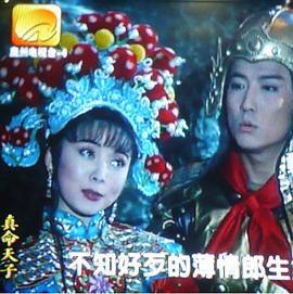 电影：真命天子