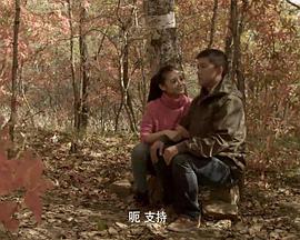 电影：七彩田野