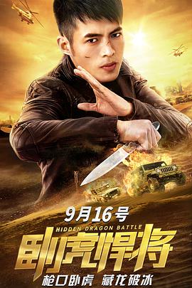 电影：卧虎悍将