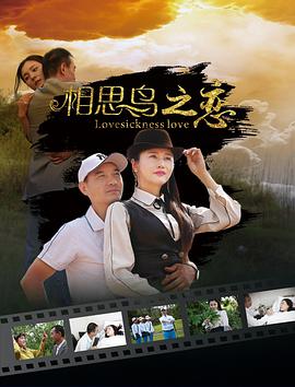 电影：相思鸟之恋