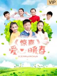 电影:惊喜·爱心暖春