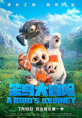 电影:笨鸟大冒险