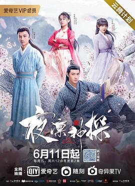 电影：夜凛神探 第一季