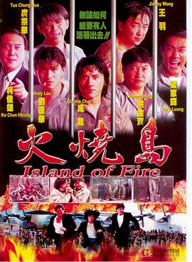 电影:火烧岛(1991)