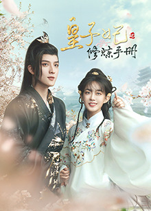 电影:皇子妃修炼手册