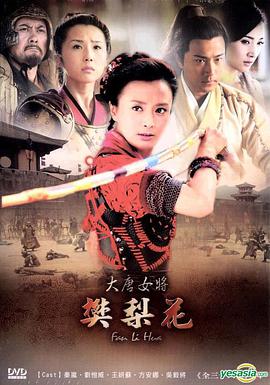 电影:大唐女将樊梨花