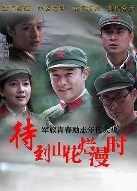 电影：待到山花烂漫时