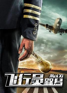 电影：飞行员呆呆鸟