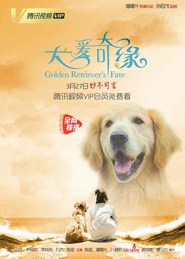 电影：犬爱奇缘