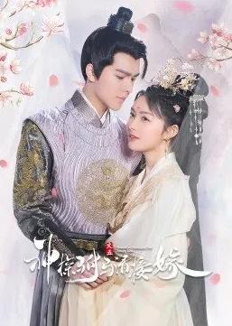 电影：神探驸马请接嫁