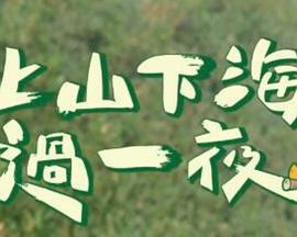 电影：上山下海过一夜