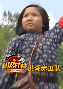 电影：小戏骨：洪湖赤卫队