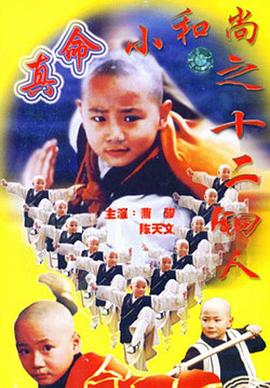 电影:真命小和尚之十二铜人