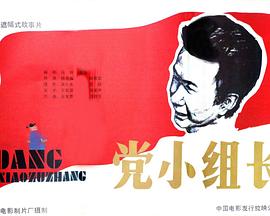 电影:党小组长
