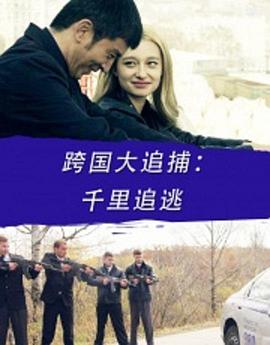 电影：跨国大追捕：千里追逃