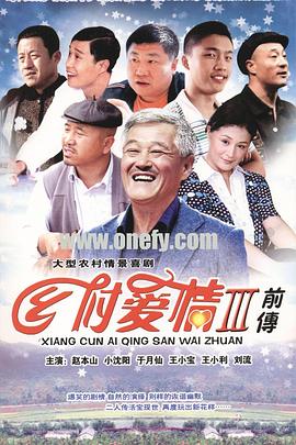 电影：乡村爱情3