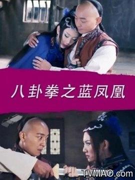 电影:八卦拳之蓝凤凰