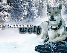 电影：我会回来过圣诞