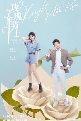 电影:玫瑰骑士