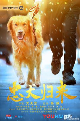 电影：忠犬归来