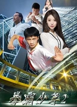 电影:拳霸少年2
