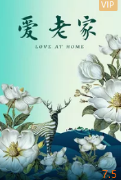 电影:爱·老家