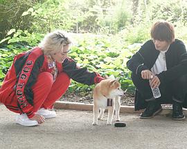 电影:难破MG5特别篇