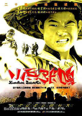 电影：小兵张嘎2004