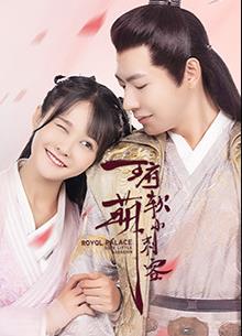 电影：王府软萌小刺客