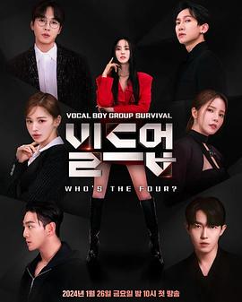 电影：Build Up: Vocal Boy Group Survivor