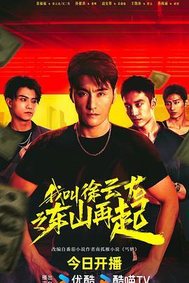 电影：我叫徐云龙之东山再起