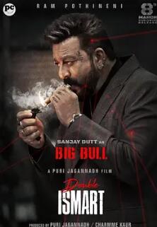 电影：双重智脑