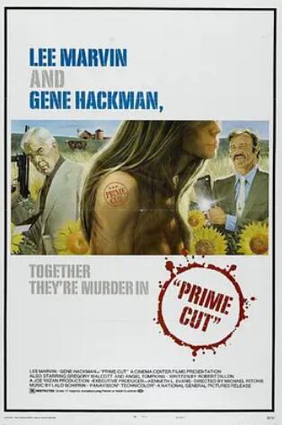 电影:双龙大火拼