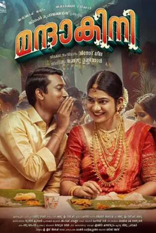 电影：新婚之夜2024