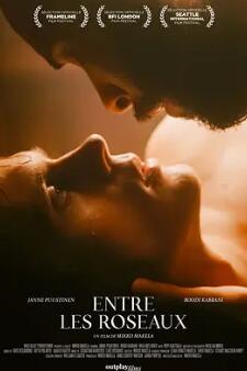 电影：芦苇荡的时光