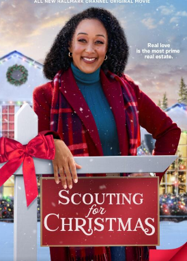 电影：圣诞节侦察