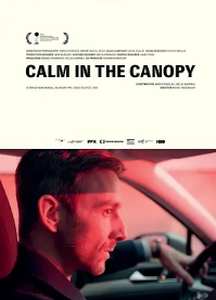 电影：树冠上的平静