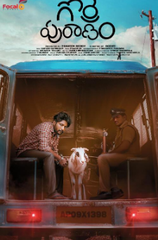 电影：戈瑞普兰南