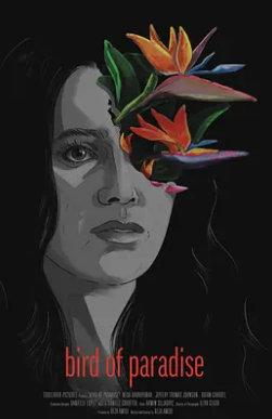 电影:好莱坞梦魇