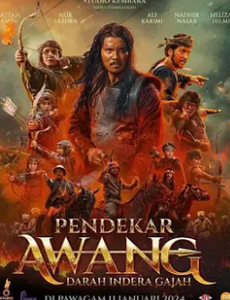 电影：剑客阿旺