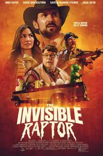 电影：隐形猛禽