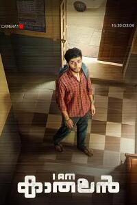 电影：多情男孩