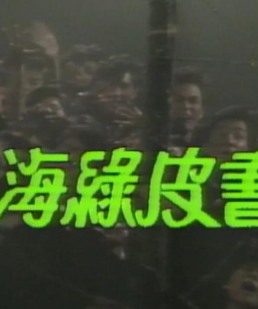 电影：人海绿皮书粤语