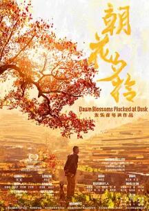 电影：朝花夕拾2024