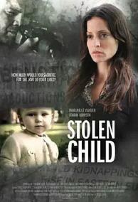 电影：盗童疑云