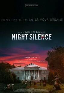 电影：寂静之夜