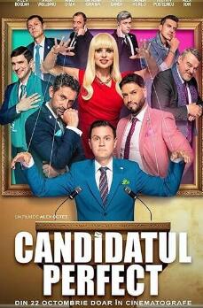 电影：完美的候选人